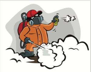 exterminators of bed bugs